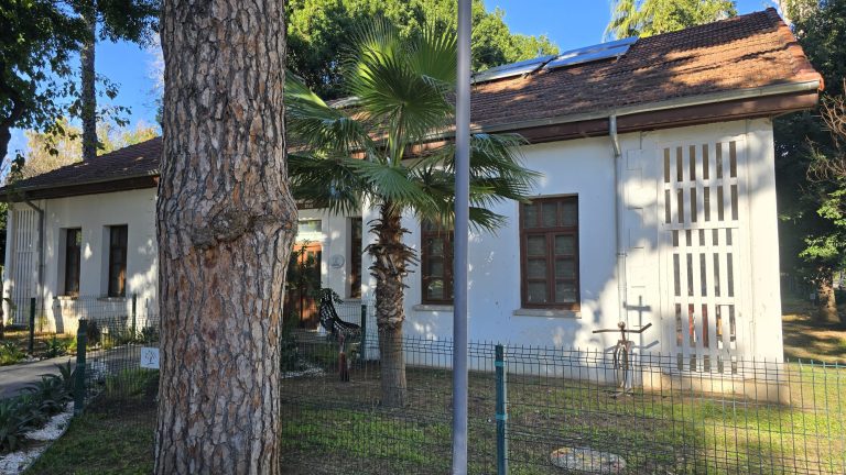 WhatsApp Image 2026-01-06 at 14.16.07 (1)