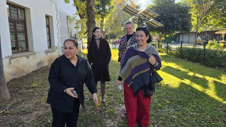 WhatsApp Image 2026-01-06 at 14.16.08 (3)