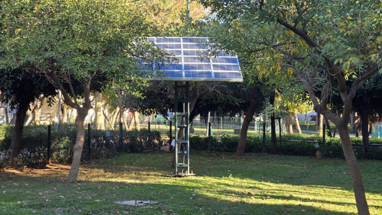 WhatsApp Image 2026-01-06 at 14.16.08