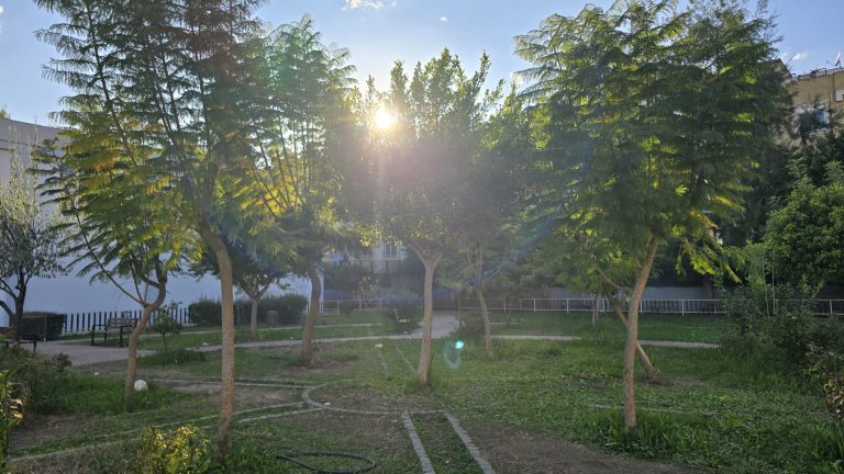 WhatsApp Image 2026-01-06 at 14.16.54